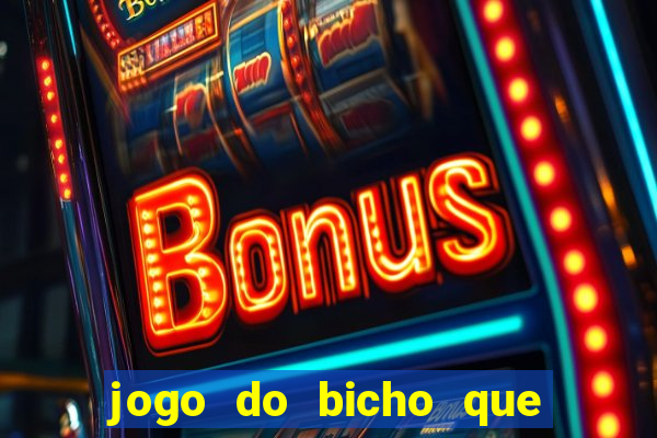 jogo do bicho que paga no pix